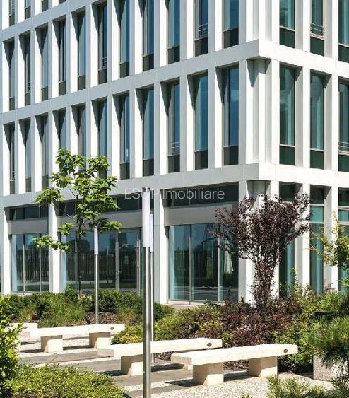 Swan Office Park cladirea Windsor, Nord, 521 - 14600 mp  0% comision! - 13