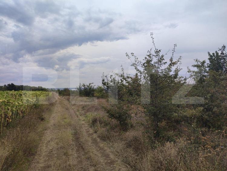 Teren 6291 mp, extravilan, zona Leamna de jos  - 4