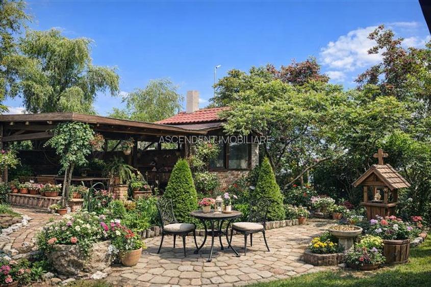 3D! Restaurant cu gradina,facilitati,de inchiriat,deschidere la DN,Halchiu,Braso - 10