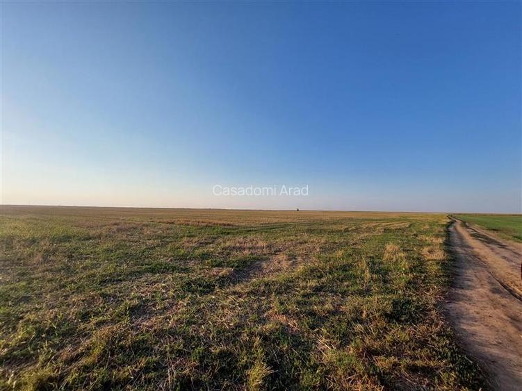 Teren 50 ha compact, pentru balastiera sau parc fotovoltaic, zona Horia - 6