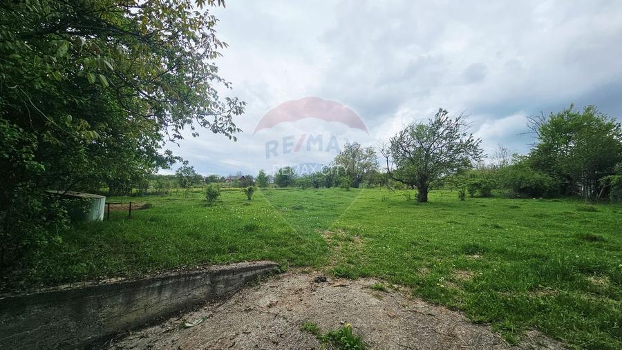 Teren 5,350mp Dobreni / Strada Manastirea Horaita - 21