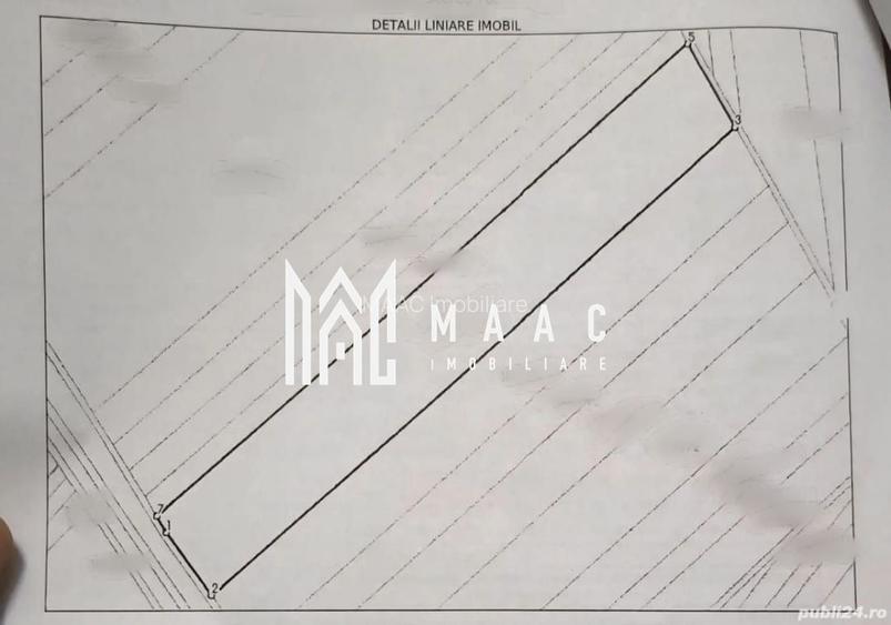 Teren | 25000 MP | Oportunitate investiție | Extravilan | Șura Mică - 2