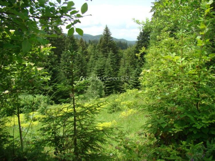 Proprietar vand teren in Predeal langa Complex Belvedere-Verona- Eden-comision 0 - 9
