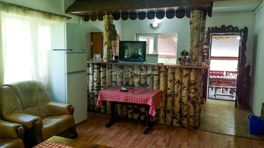 Casa de vacanta perfecta pe malul Cernei  - 11