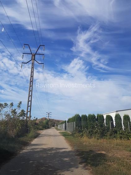 Teren 1.597mp, deschidere 47 ml, situat la 350m de Calea Barladului - 6