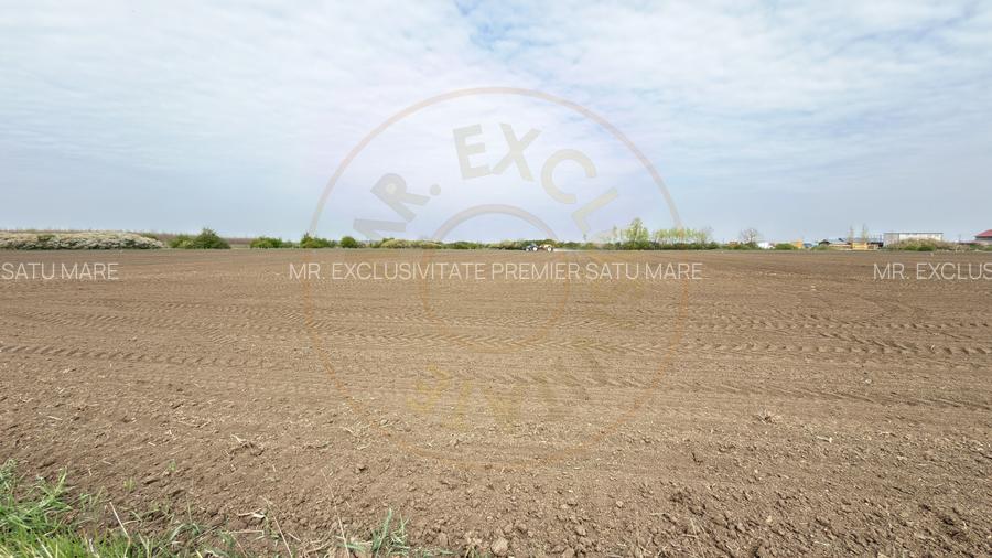 Teren Intravilan 1300 mp / Extravilan 3.700 mp/ DJ 196B Carei (DN 1F) – Foieni - 7