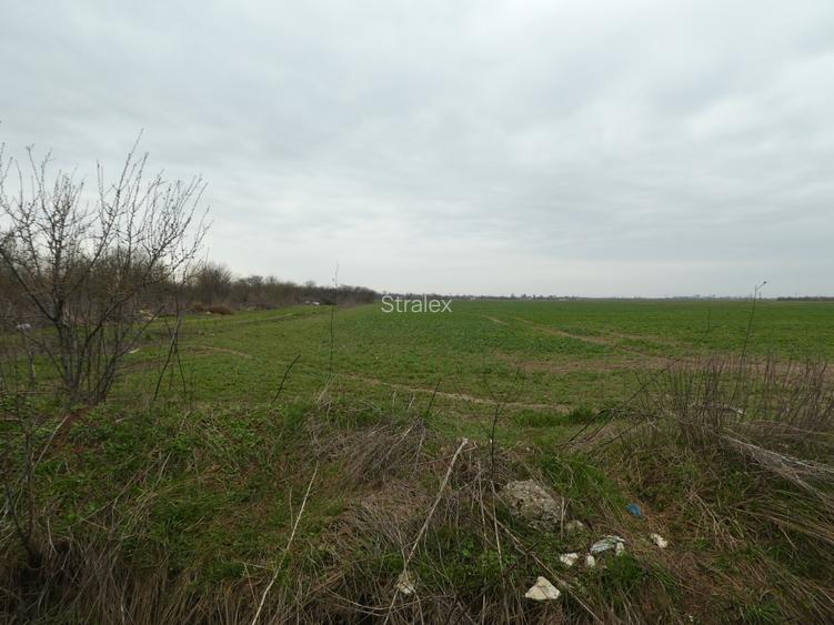 Teren 10.000 mp Butimanu in spatele caselor - 3