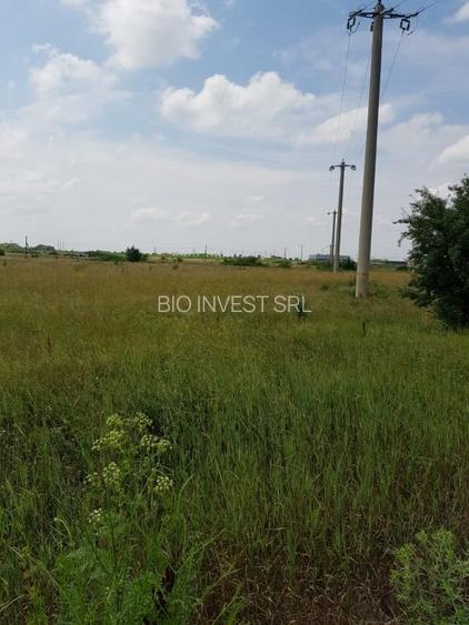 Vand teren - Ronat - 3