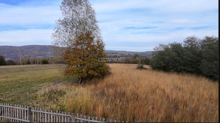 Comision 0%, teren extravilan 12497 mp Sinca Noua - 23