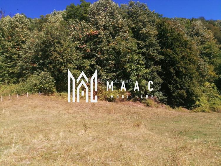 Teren Extravilan 20.000Mp I Stoenești -Vâlcea I Apă Curentă și Pădure - 9