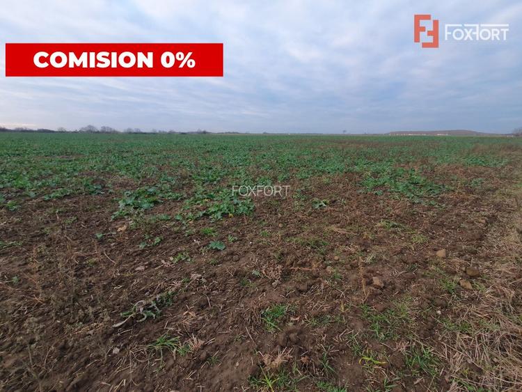 COMISION 0% Teren extravilan agricol 10.000 mp la sosea in Sag - 4