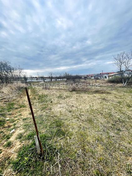 Teren Intravilan cu Front Dublu în Paleu - 2