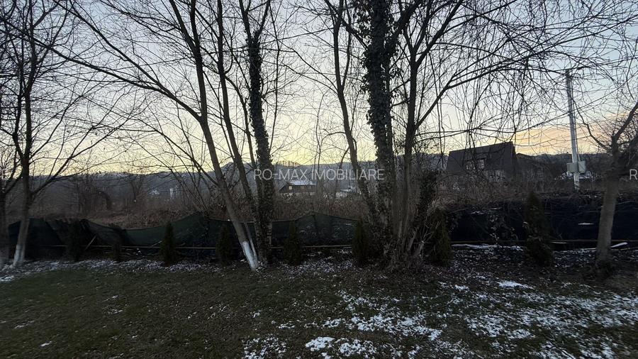 Teren intravilan construcții 10834 mp + construcție- cabană lemn! - 14