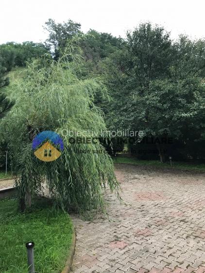 Casă de închiriat – Alexandru cel Bun, jud. Neamț - 3