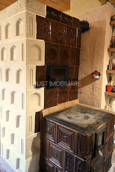 Problema e orașul. Soluția: un pârâu în curtea ta. Rasca/Valea Fericirii - 5