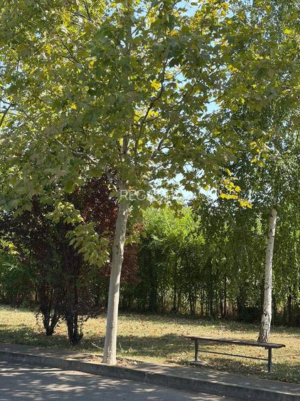 Vila individuala in Corbeanca Park - 24