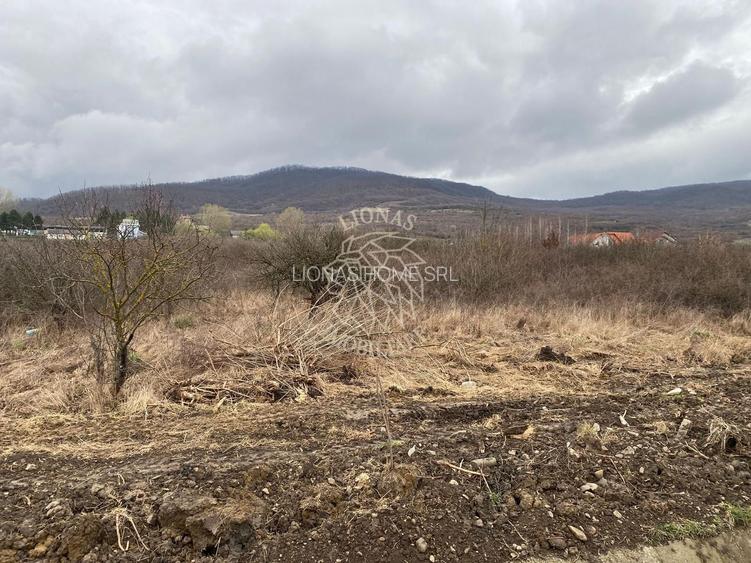 Teren 12,719 mp cu deschidere la DN17-ideal hala/parcare-Crainimat - 3