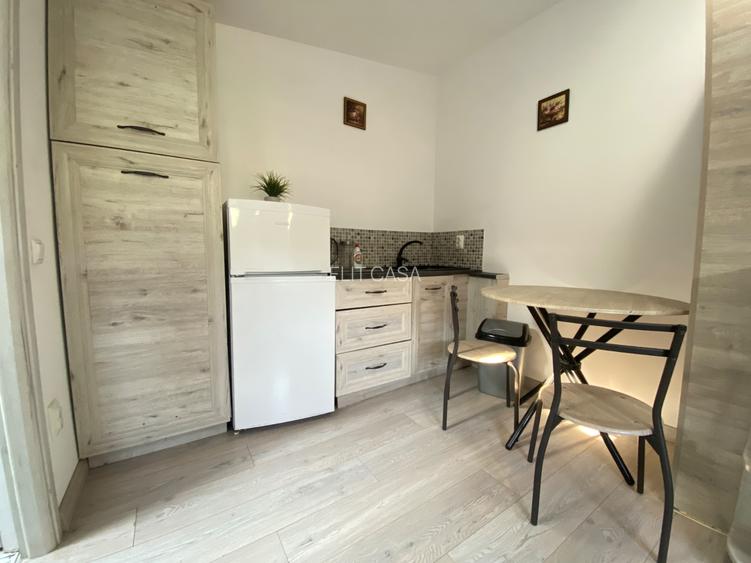 Apartament cu 1 camera, zona Podu Ros - 6