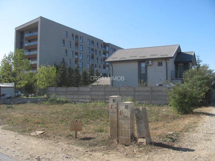 prelungirea Ghencea Iernii - 8