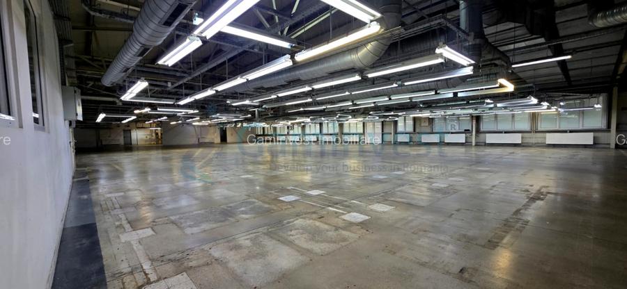 Hala de inchiriat in Marghita pentru productie si depozitare, Bihor - 3