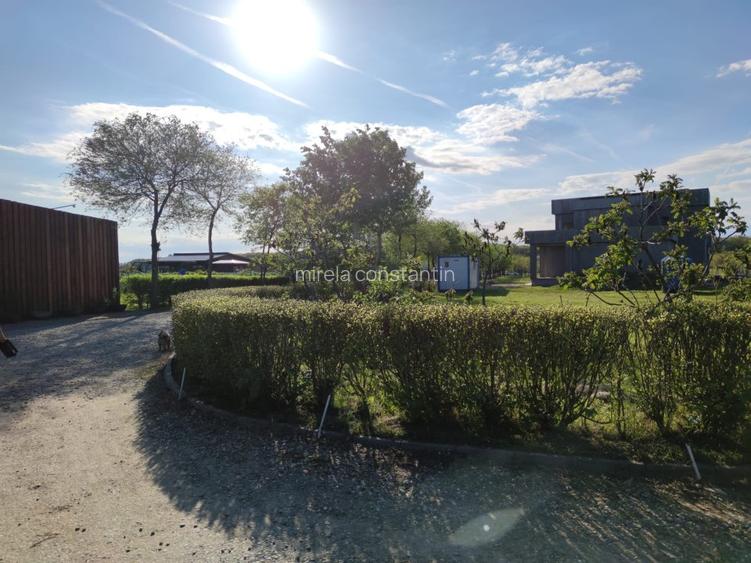 Loturi constructie intre 80-95 Euro/mp - Afumati, Strada Padurii - 4