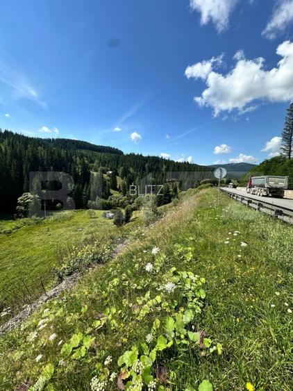 Teren intravilan de vanzare, 6941 mp, zona Mestecăniș - 4