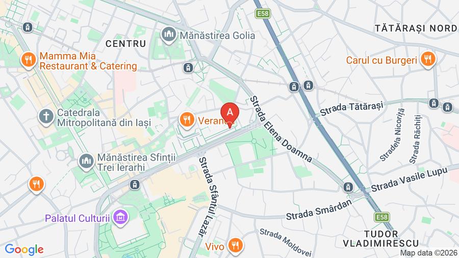 Închiriere Spațiu Comercial Premium central 240mp-Bd. A. Panu, Direct proprietar - 16