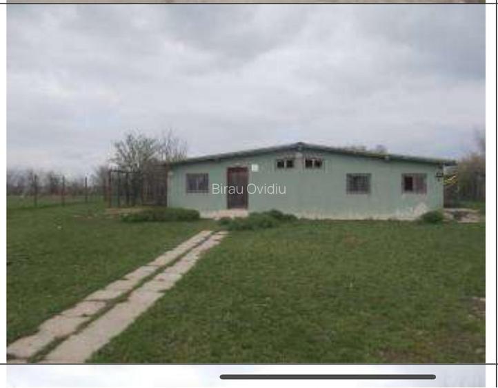 HUB Logistic intermodal 9,1 ha acces direct la DN 59/E70 JEBEL ,Timis - 11