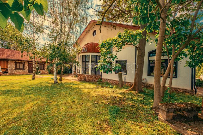 Casa superba cu vedere la lac in Izvorani – piscina, natura,si potential imens! - 11