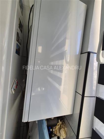 Apartament 3 camere de vanzare Alexandru cel Bun - 7