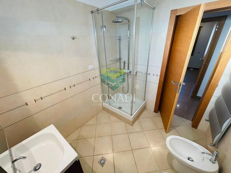 Iancu Nicolae, vila de inchiriat, 5 camere - 13