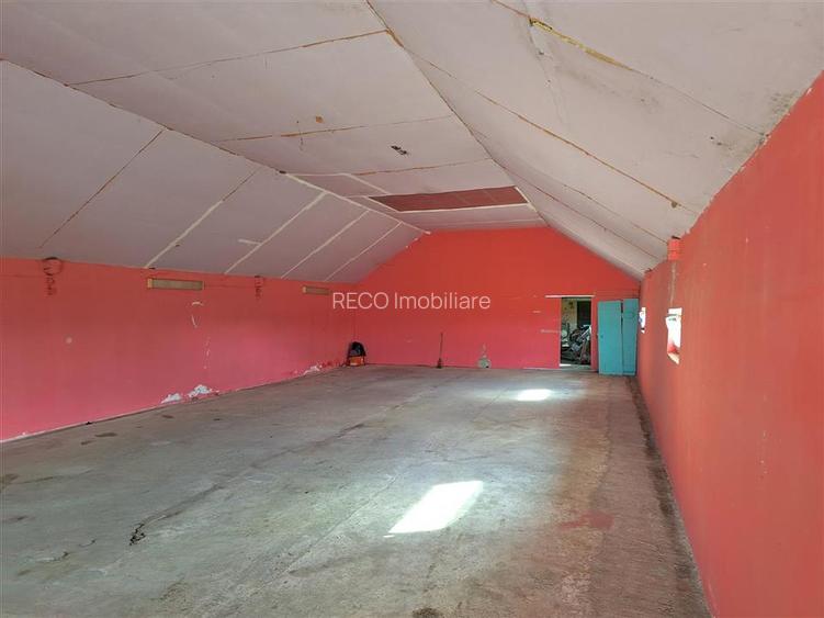 Reco, Casa si Hala industriala Sabolciu - 14