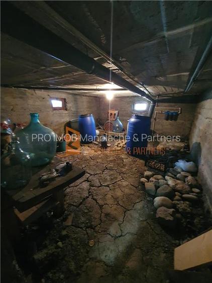 EXCLUSIVITATE! Casa cu teren zona Parscov - 18