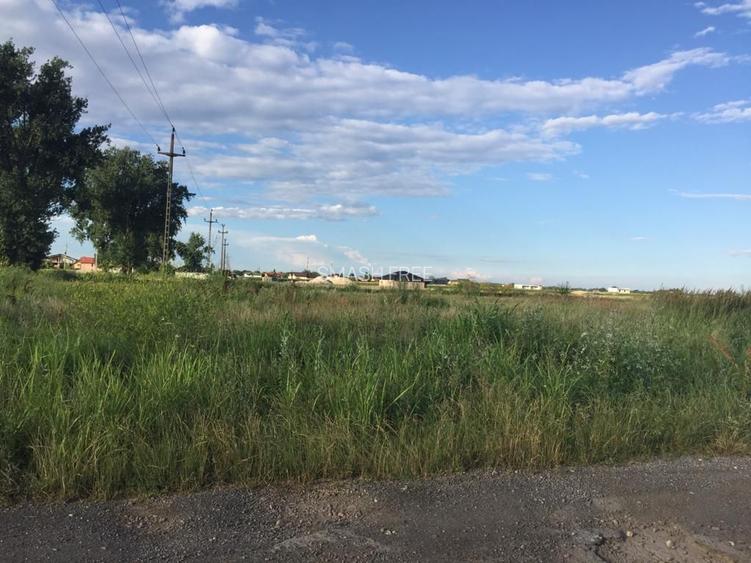 Teren intravilan in comuna Domnesti - sat Teghes - 4