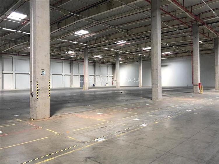 Inchiriere depozit/hala/spatiu industrial Popesti Leordeni-DN4-A0 - 4