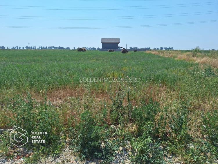 Teren pentru constructie duplex sau casa individuala, 840 mp, Chisoda - 2