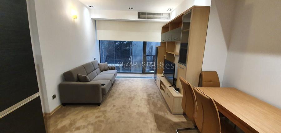 HERASTRAU SOSEAUA NORDULUI APARTAMENT 2 CAMERE MOBILAT LUX - 7
