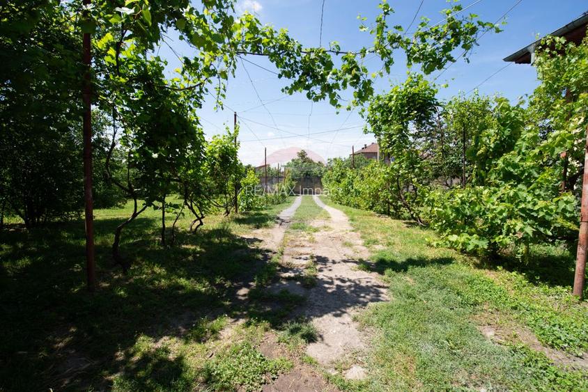 Casa de vanzare teren 2000mp si spatii comerciale Galbinasi Calarasi - 17