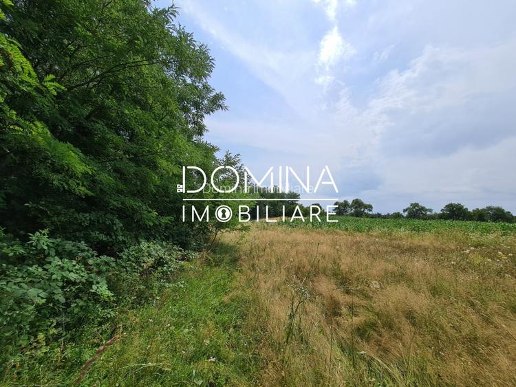 Vânzare teren *17,8 ha - front stradal 40 m.l.* Comuna Runcu - Sat Dobrița - 6