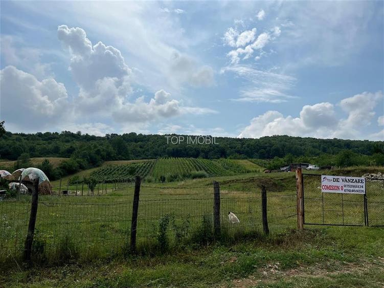 Teren Tomesti 3750MP - 2