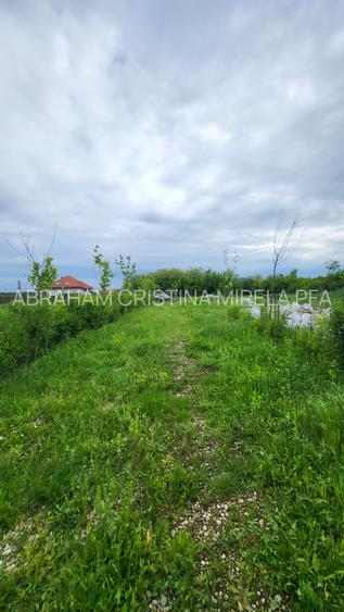 Vanzare Teren Intravilan, sat Balteni, 1000 mp - 2