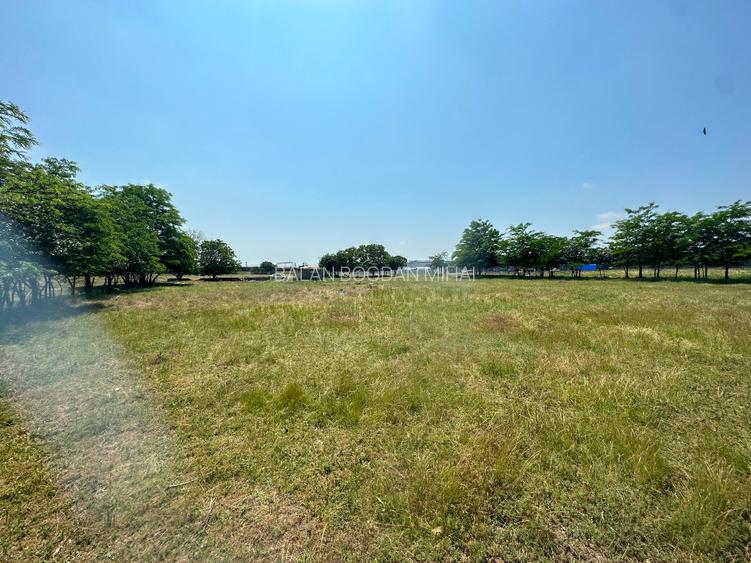  Teren intravilan 5.000 mp, front 50 m, zona Ancora BHS Trans - Constanta  - 4