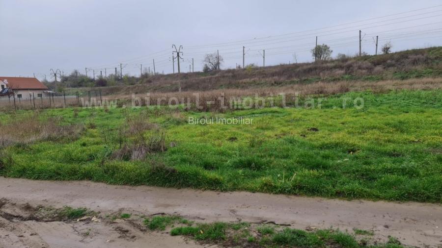 Teren Intravilan 5.000 mp – Perfect pentru Parc Fotovoltaic, Hale sau Lotizare - 4