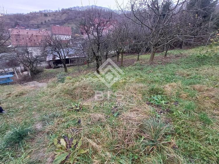 Teren intravilan 1300mp, Zona Valea Ghinzii - 2