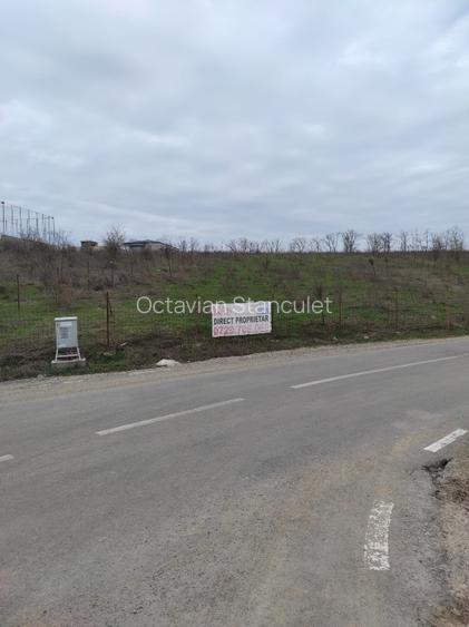 Teren de vanzare intravilan in Branesti IF - 5