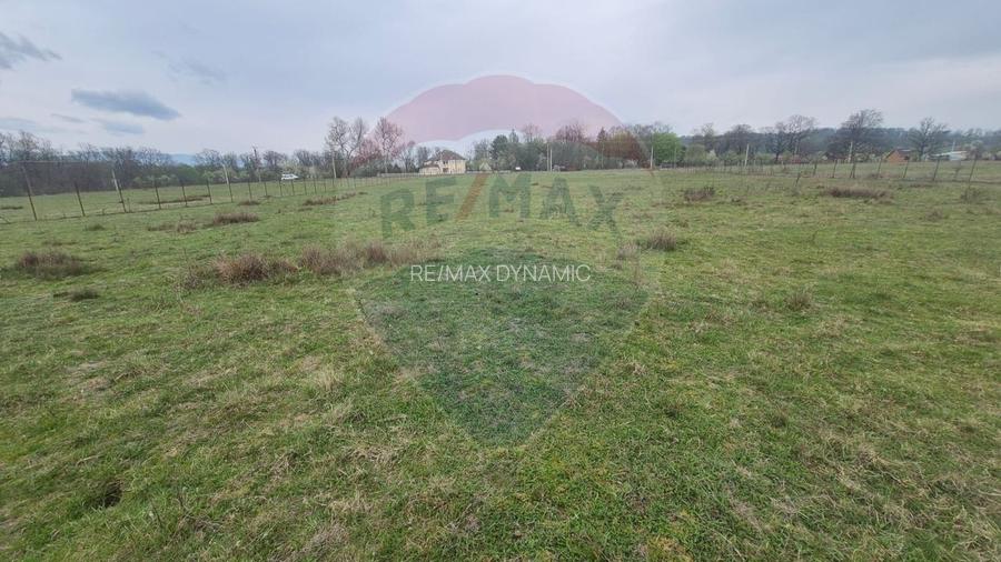 Teren intravilan in  Sebis 5000 mp / Strada Ciutariei - 2