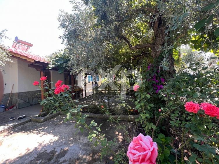 Randament 9.5% Afacere la cheie / Casa de vacanta Thasos Grecia la 50m de plaja - 3