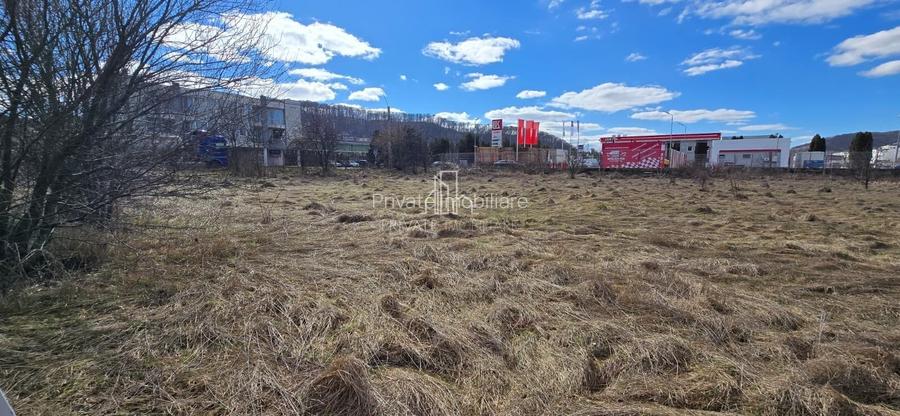 Teren intravilan, 4019 Mp, Sighisoara - 6