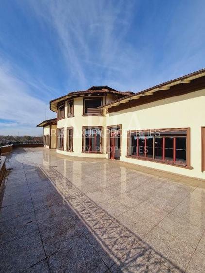 VANZARE VILA | HALA IN VLADICEASCA | SNAGOV | 10.500 MP TEREN - 3