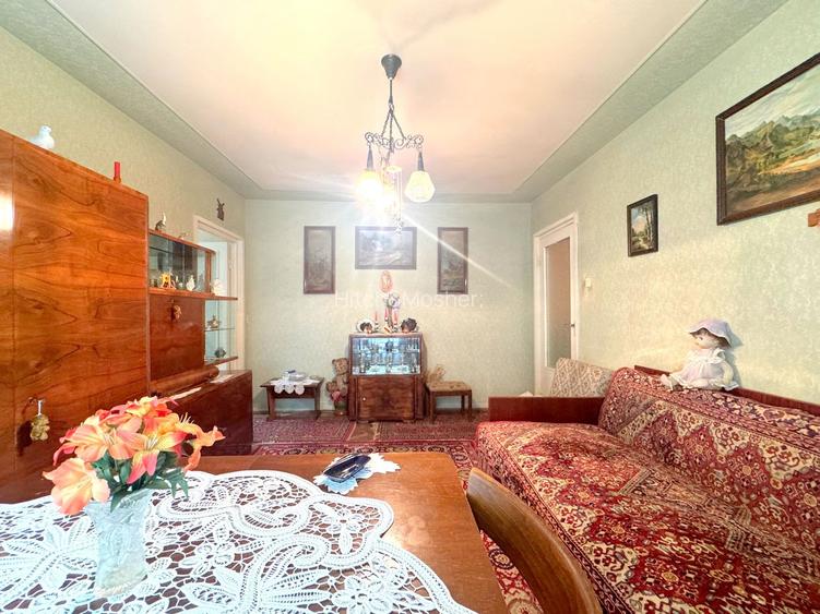 Apartament cu 3 camere la parter-zona Dacia Timisoara - 2